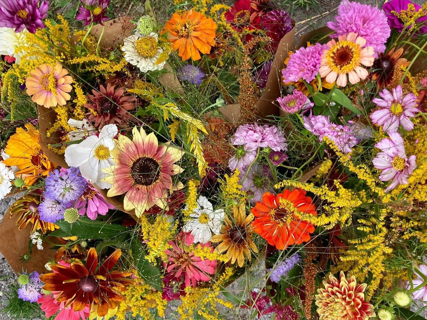 Flower CSA