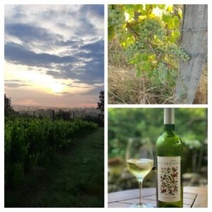 Adopt-a-vine