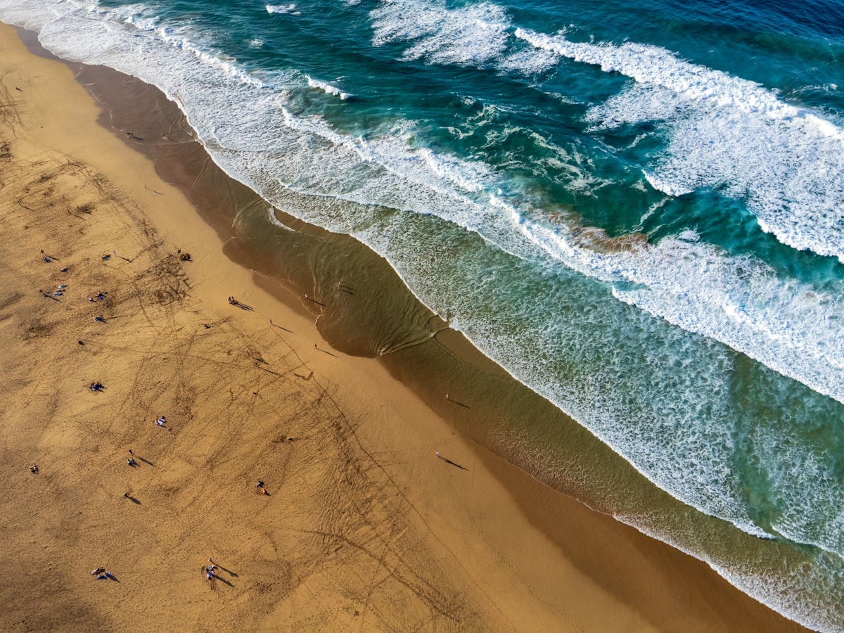 Fuerteventura beach and dunes