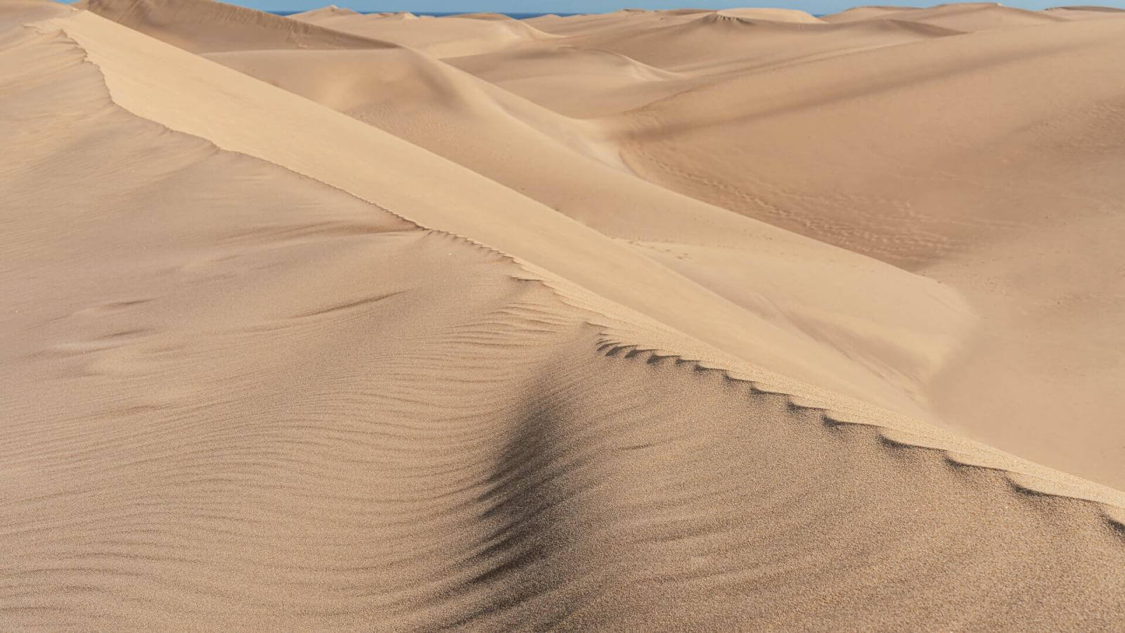 Gran Canaria coast and dunes