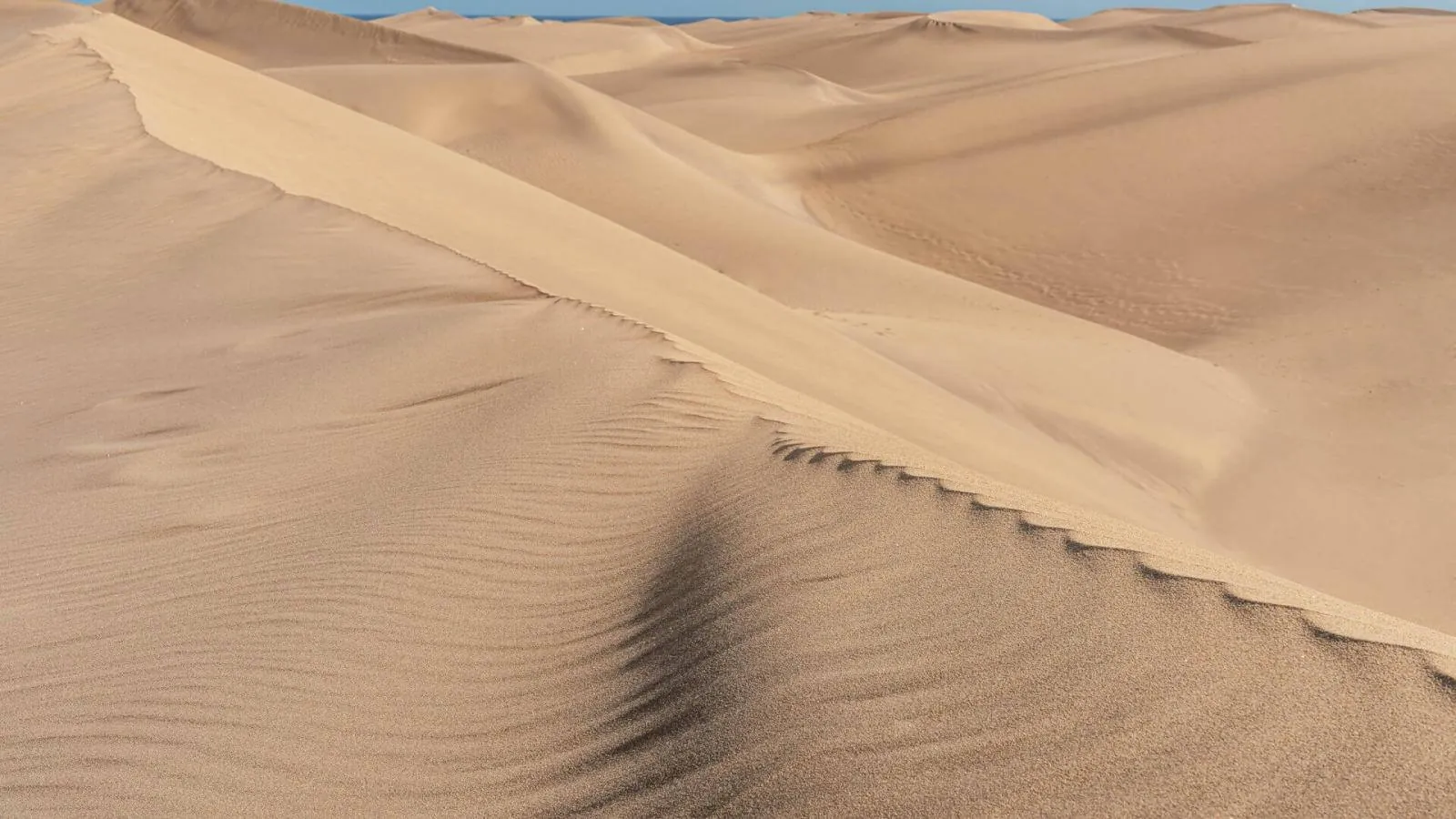 Gran Canaria coast and dunes