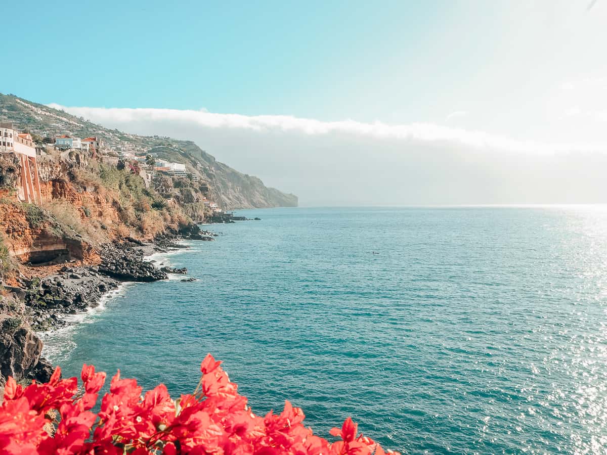 Madeira island, levada walks and laurisilva forest