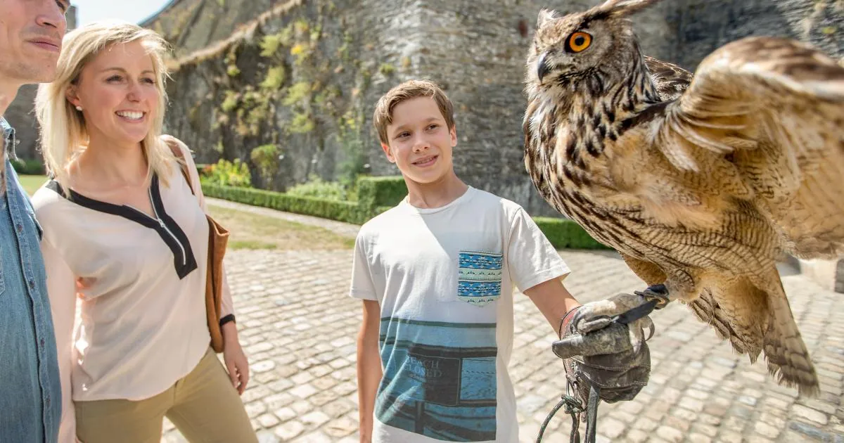 Falconry display at Château de Bouillon