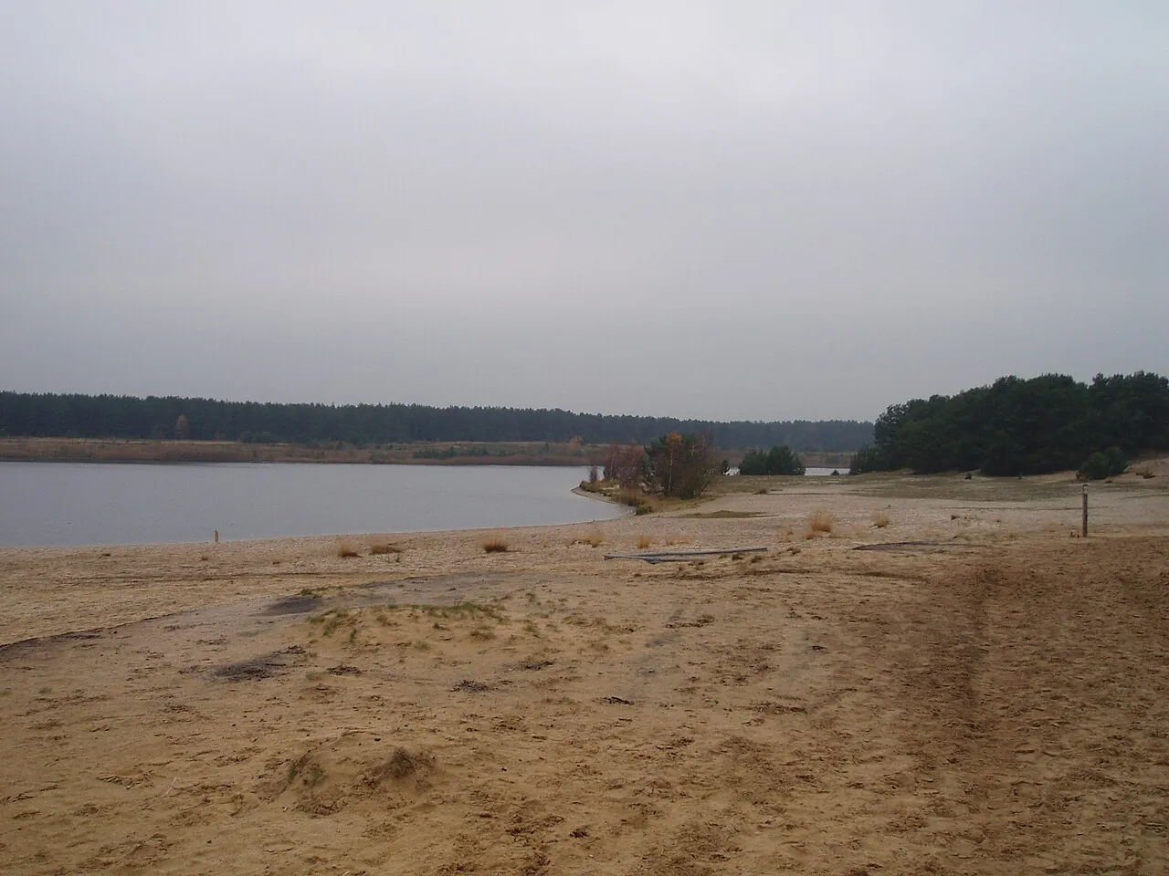 Lommel Sahara dunes