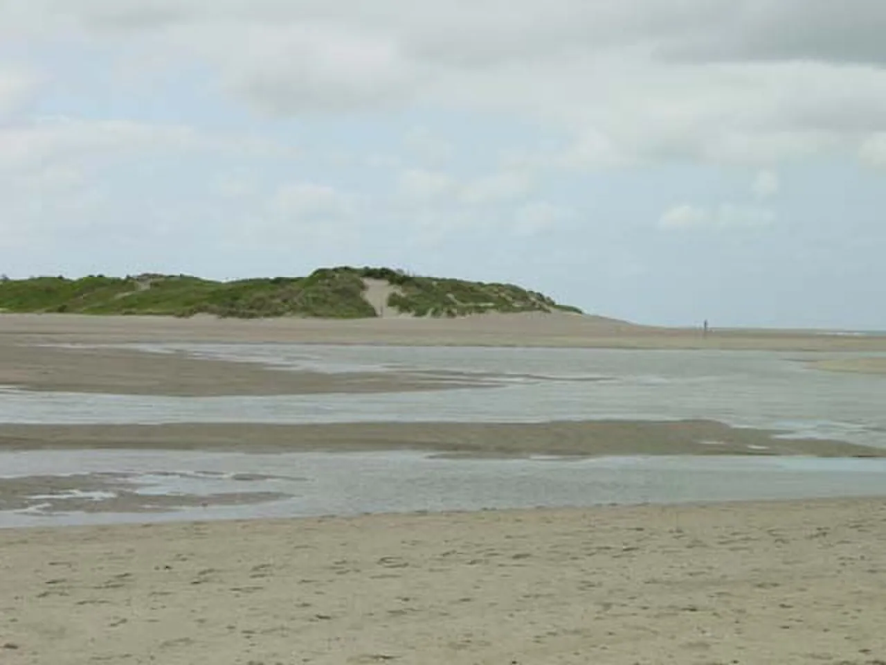 Zwin nature reserve
