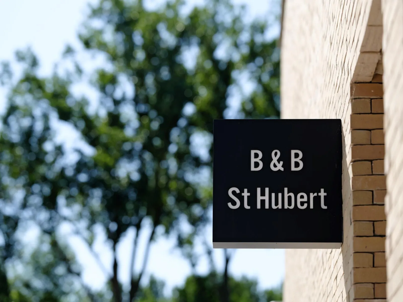 B&B St-Hubert, Sint-Martens-Lennik — Friesian-horse estate