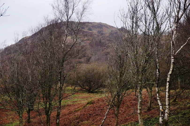 Gummer's How — Windermere views from a 40-minute fell.