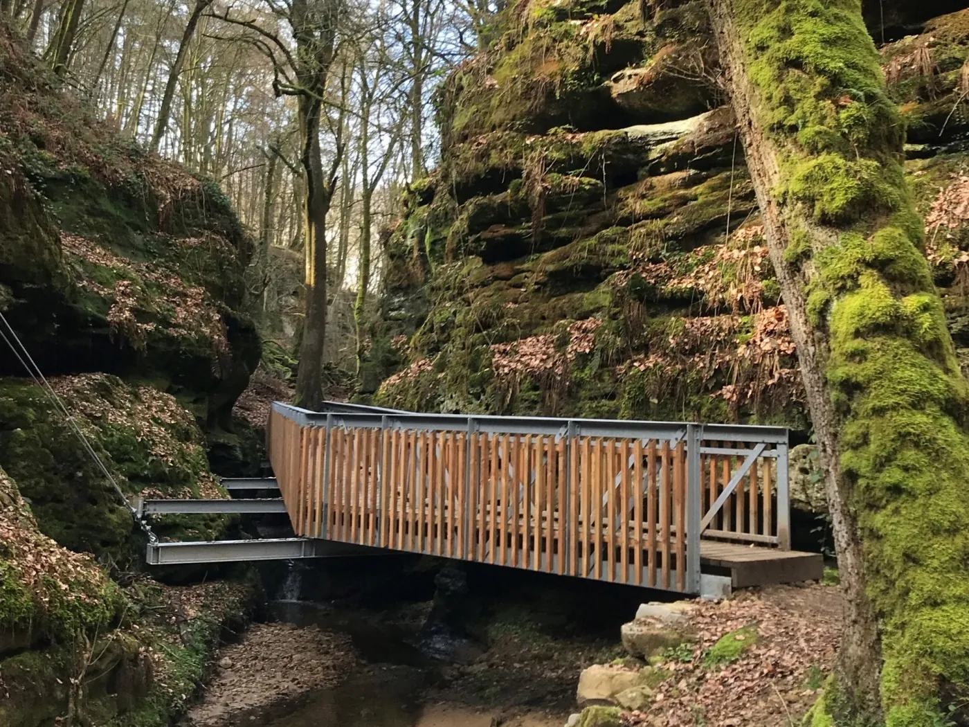 Mullerthal sandstone trail through forest