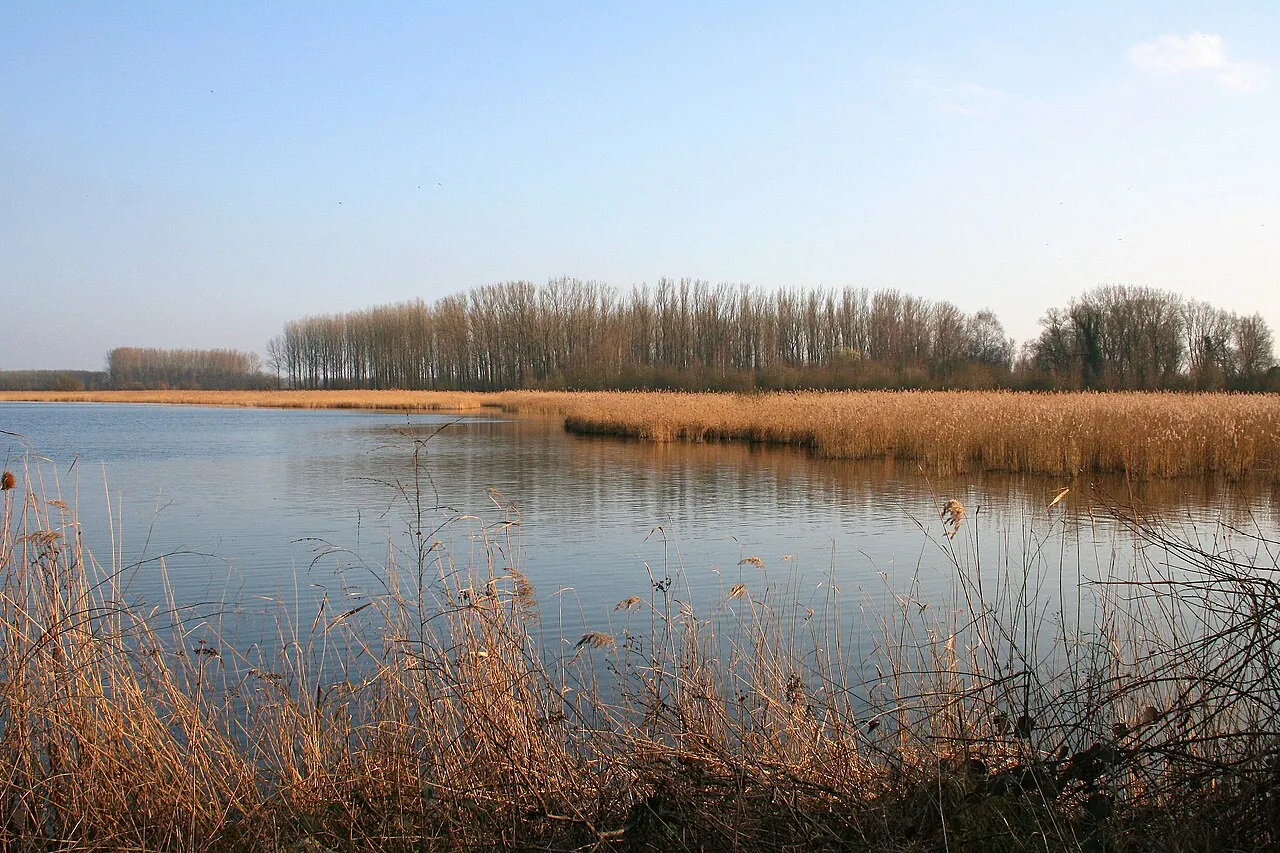 Marais d'Harchies bird reserve