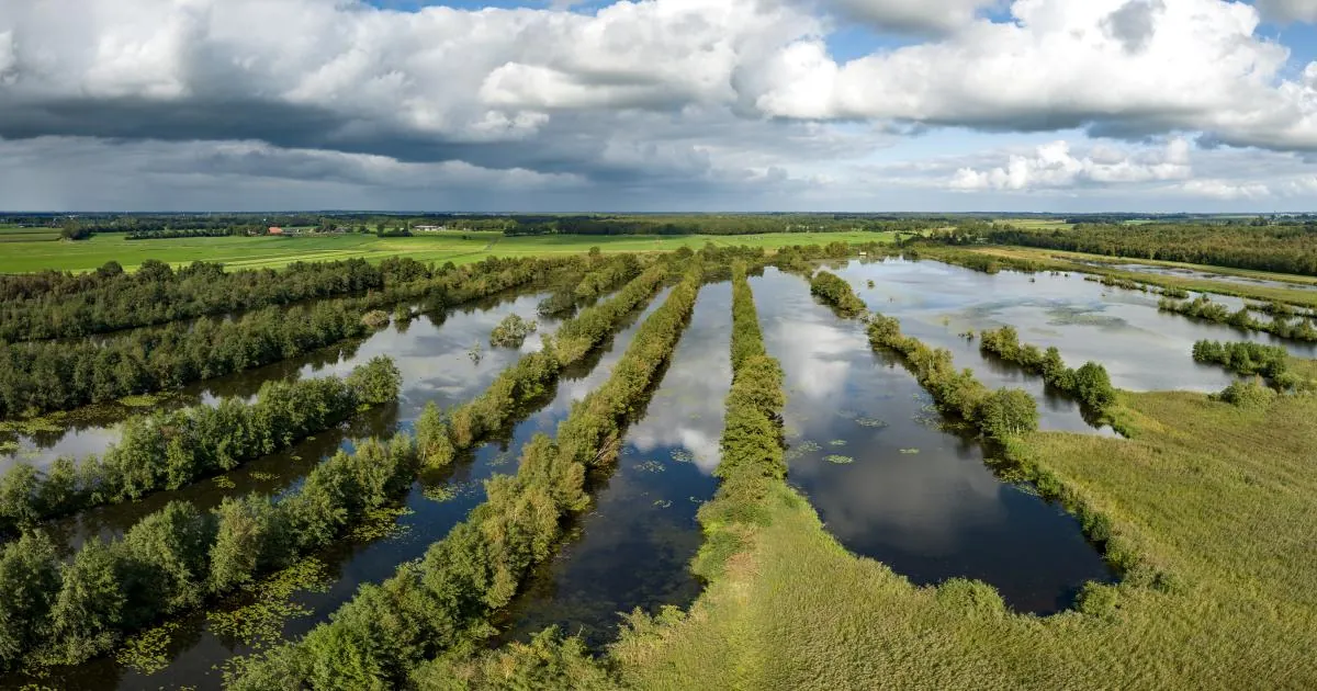 Weerribben-Wieden National Park