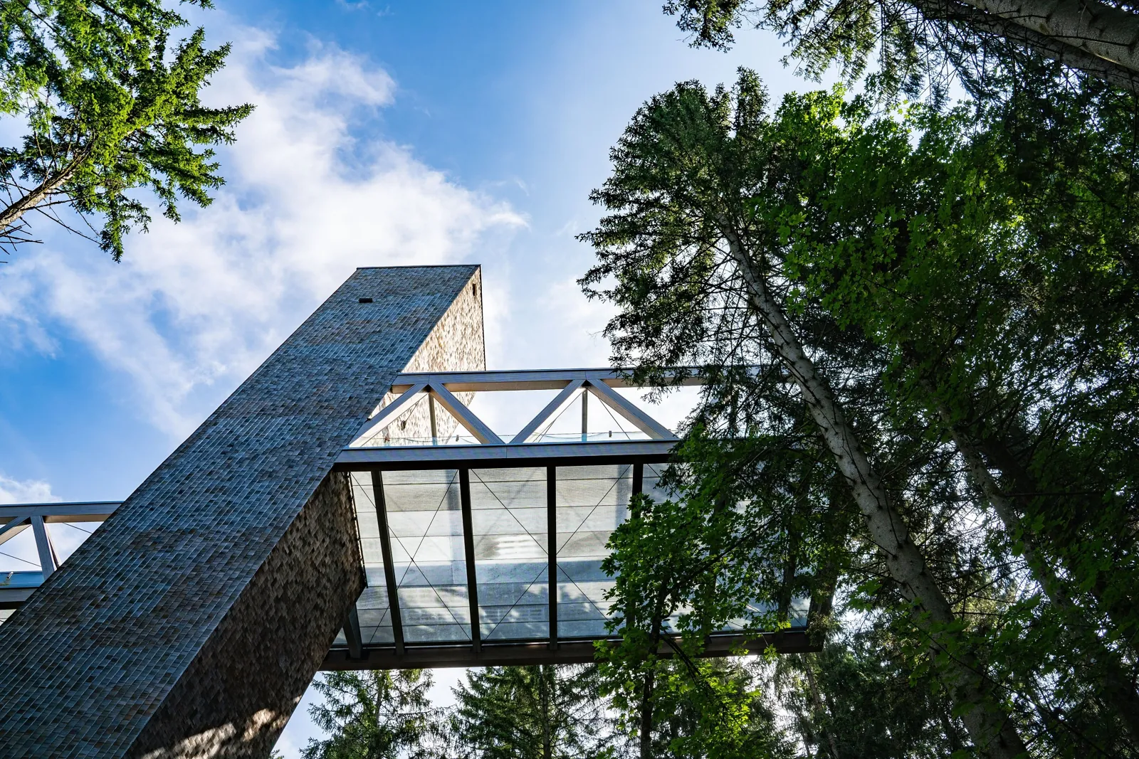 Nationalparkzentrum Ruhestein with its 36 m Bridge of Wilderness
