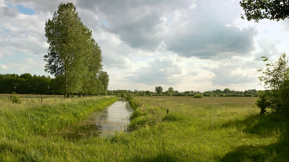 Drömling biosphere reserve
