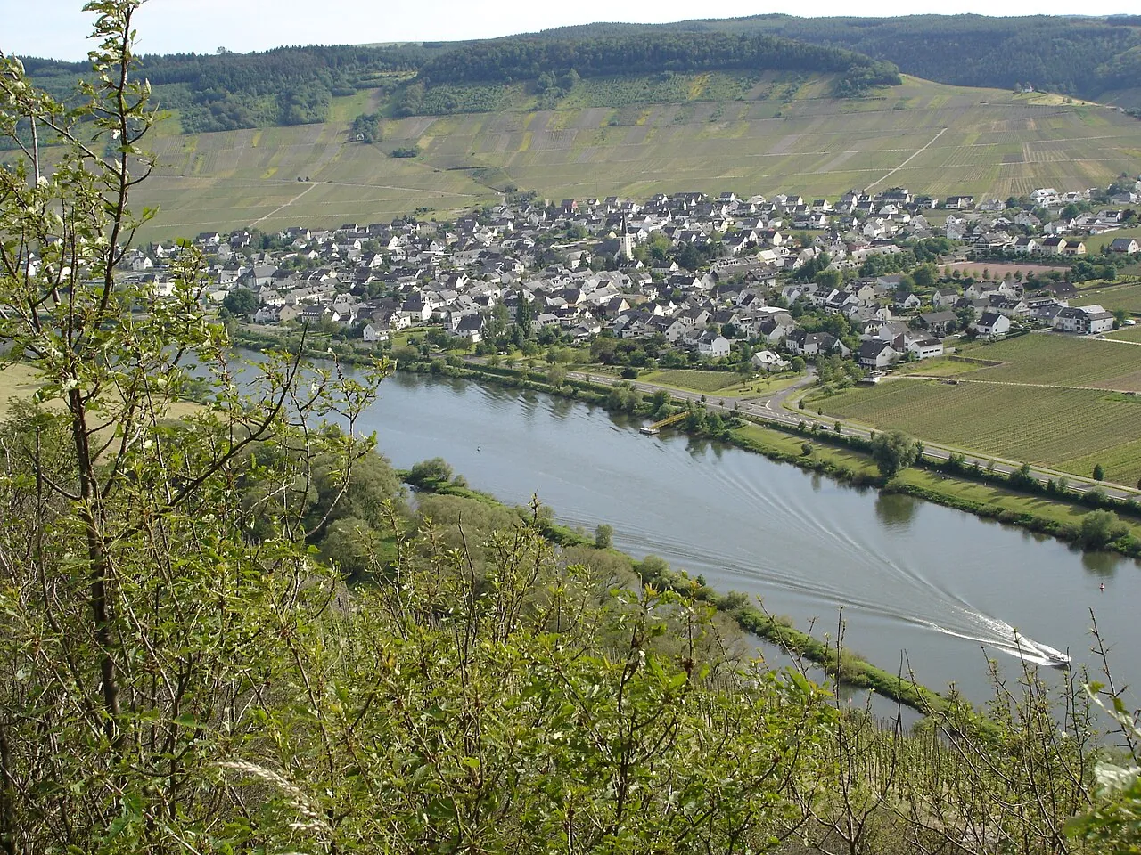 Leiwen vineyards above the Mosel