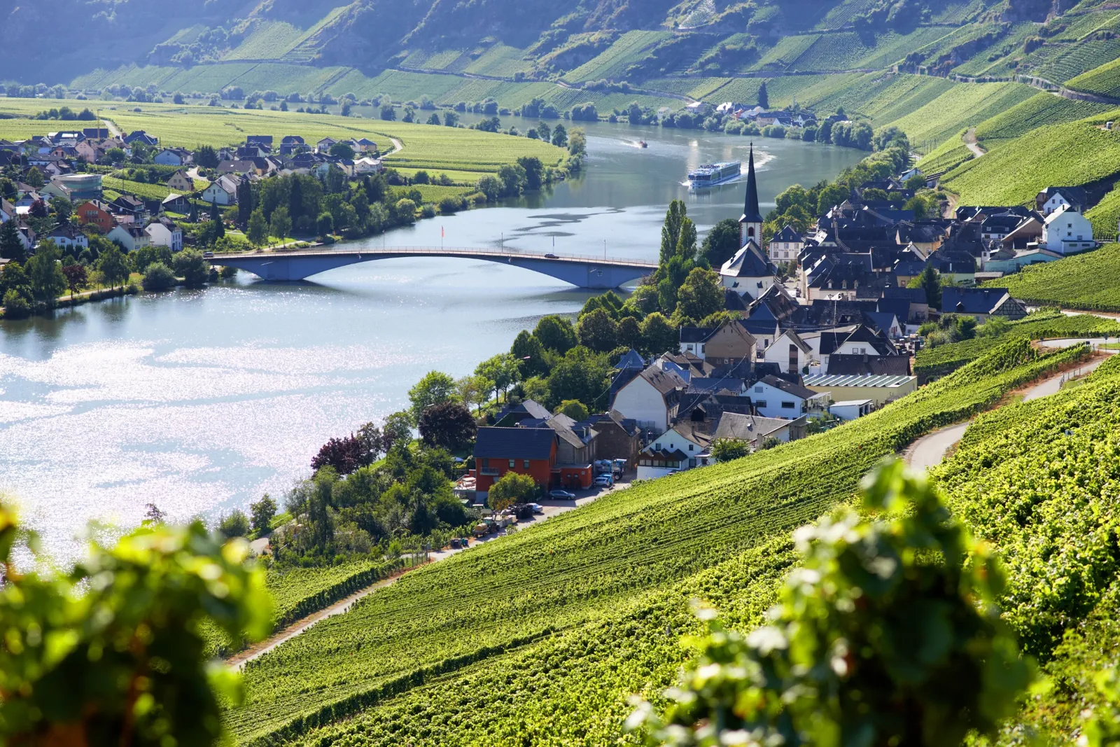 Piesporter Goldtröpfchen vineyards