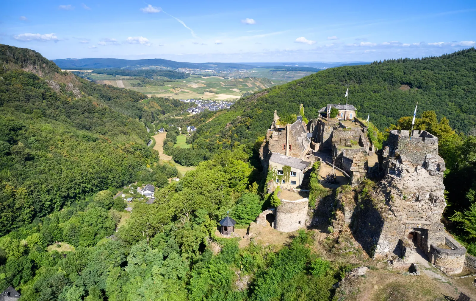 Burg Veldenz ruin above the vineyards