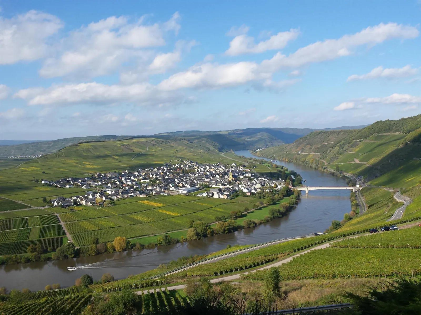 Vineyard panorama from Zummethöhe