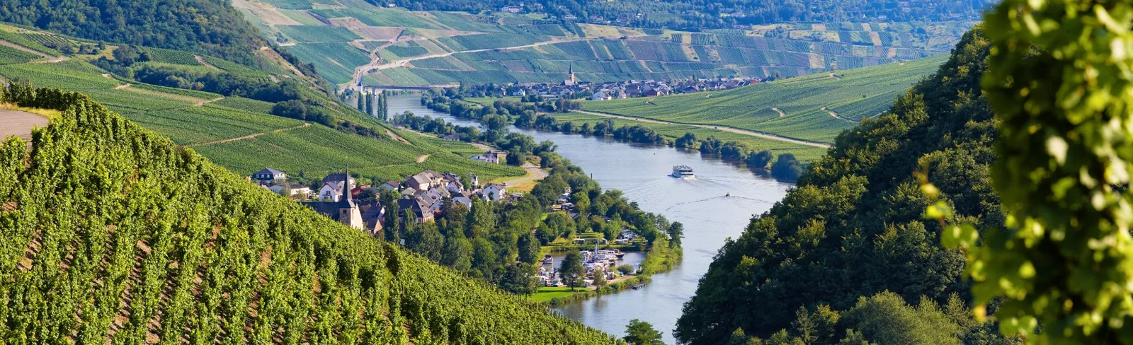 Moselsteig premium trail vineyard panorama near Trittenheim.