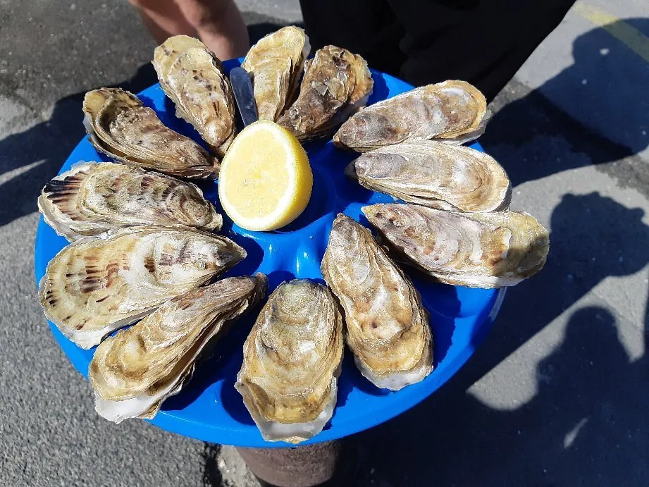 Cancale oyster market