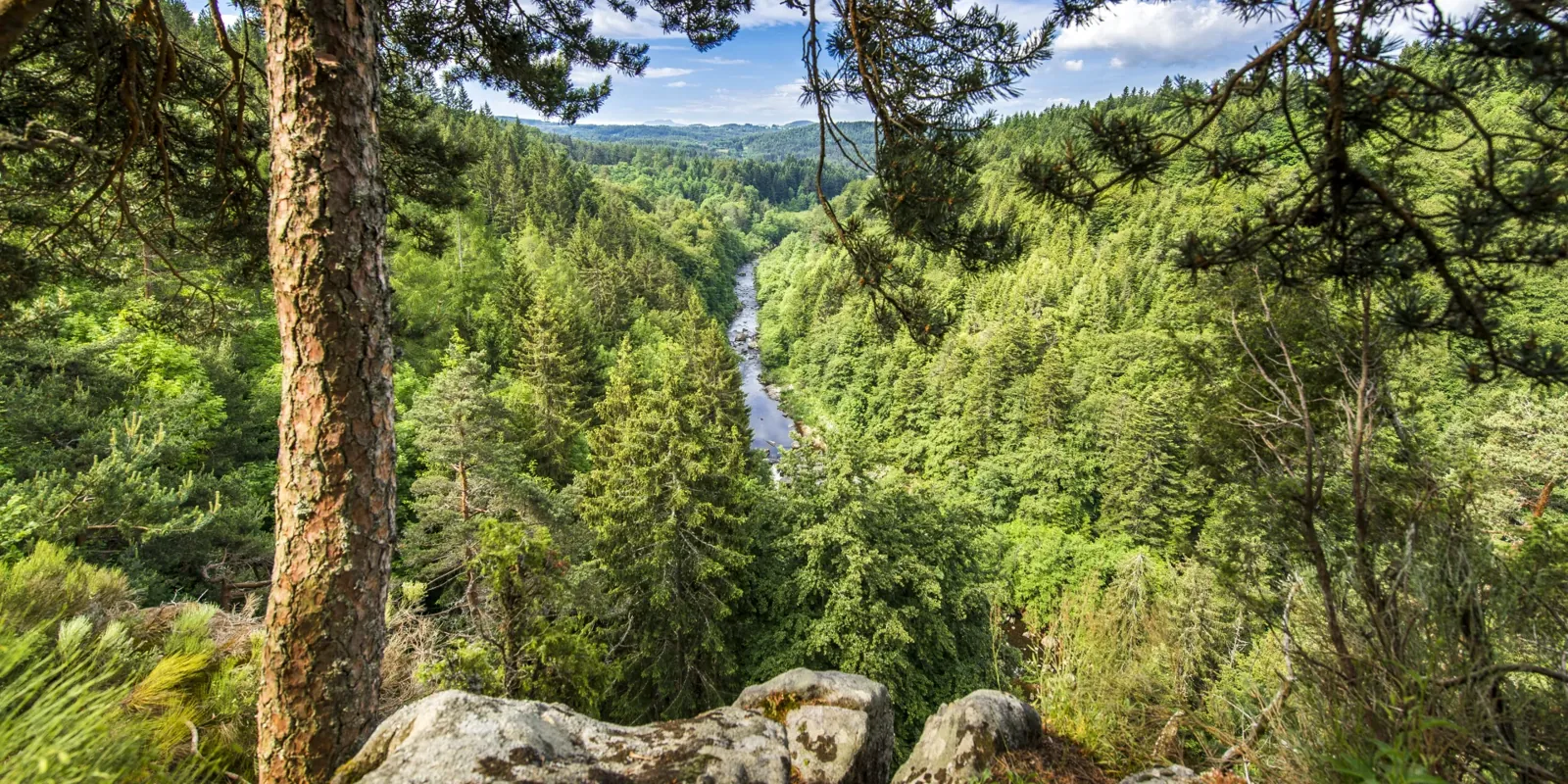 Lignon gorges