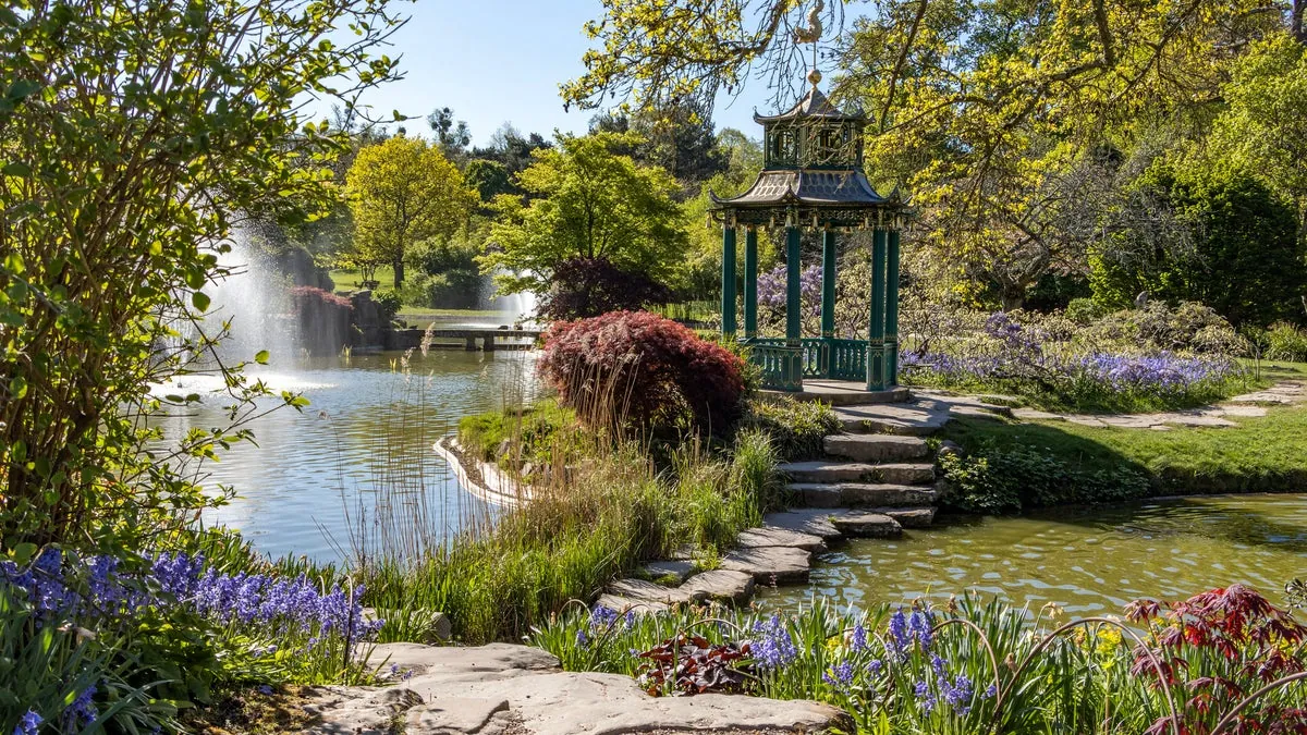 Cliveden gardens