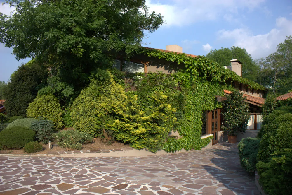 Mugaritz — Andoni Luis Aduriz's avant-garde restaurant in Errenteria
