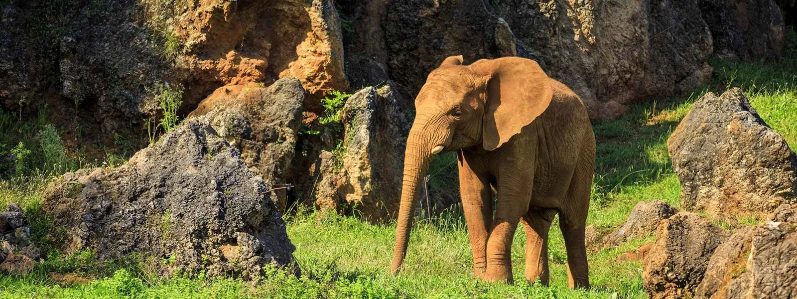 Cabárceno wildlife park