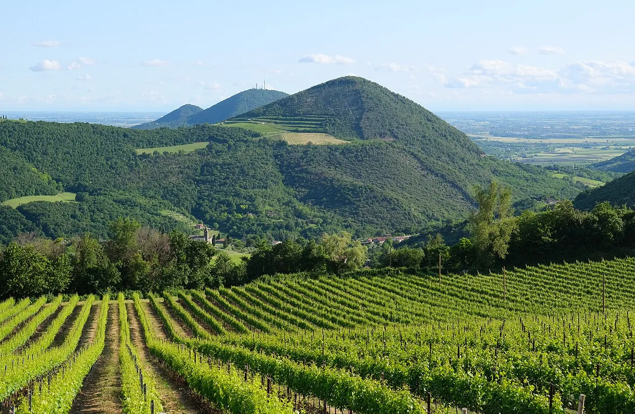 The Euganean Hills volcanic regional park southwest of Padua