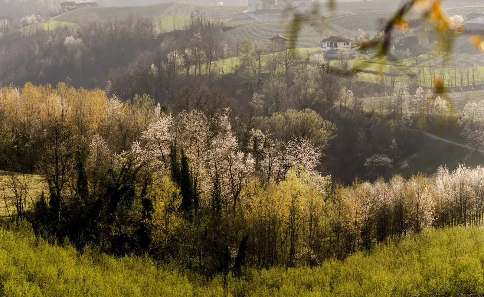 Casa di Langa eco-resort in Cerretto Langhe