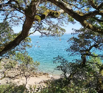 L'Herbaudière marina, Noirmoutier