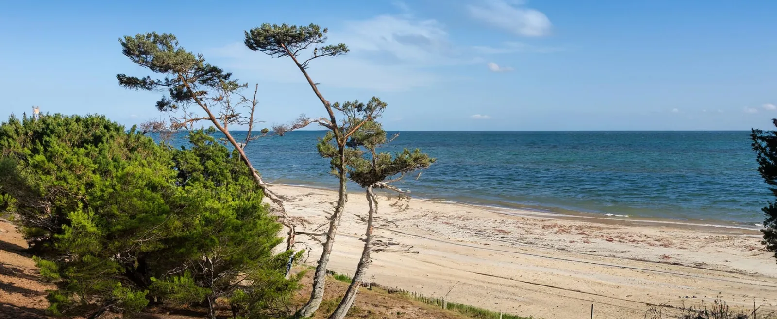 La Tranquillité B&B, Noirmoutier