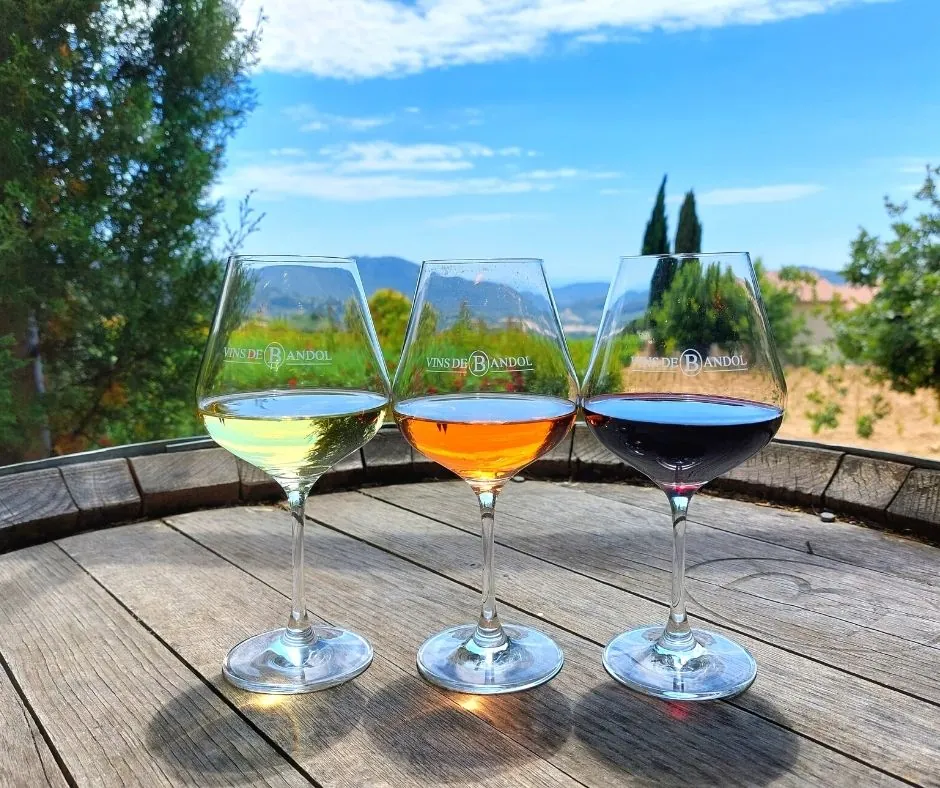 Bandol vineyard rows under Provençal light