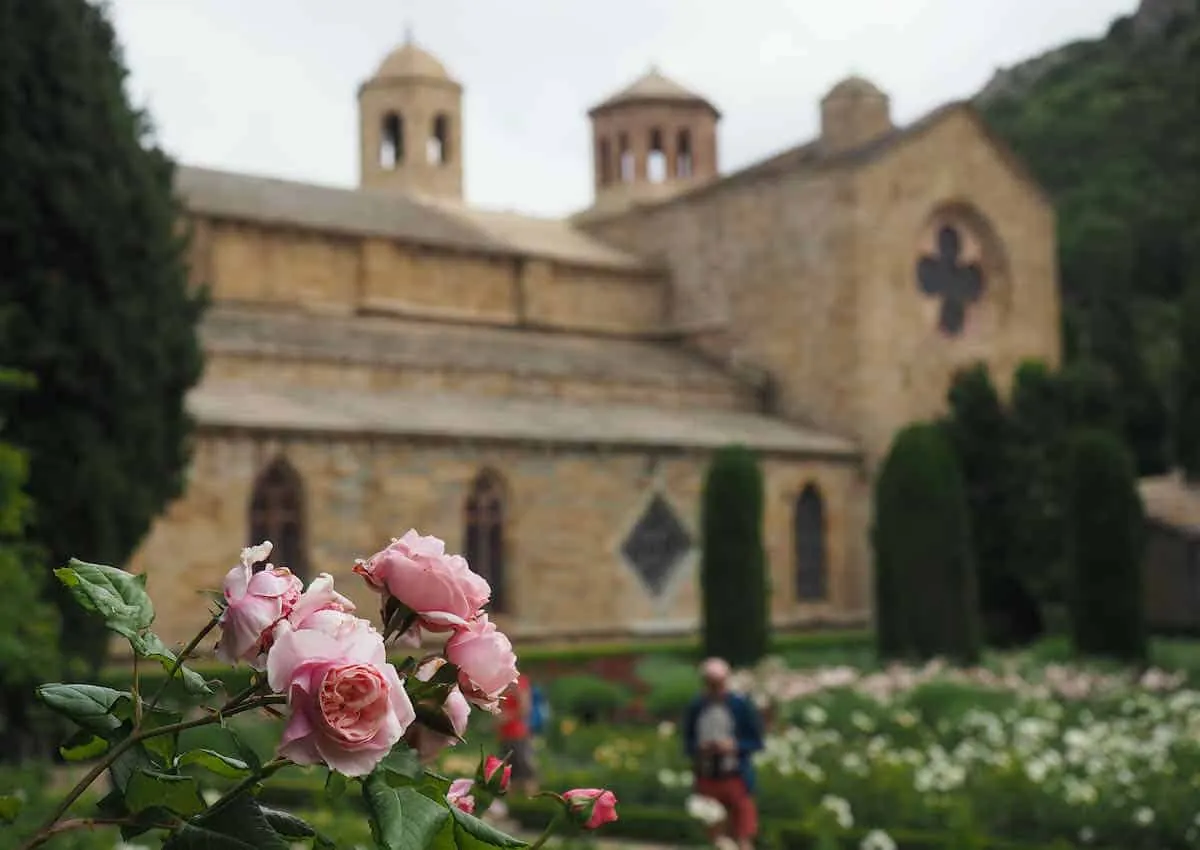 Jardin de roses de l'Abbaye de Fontfroide