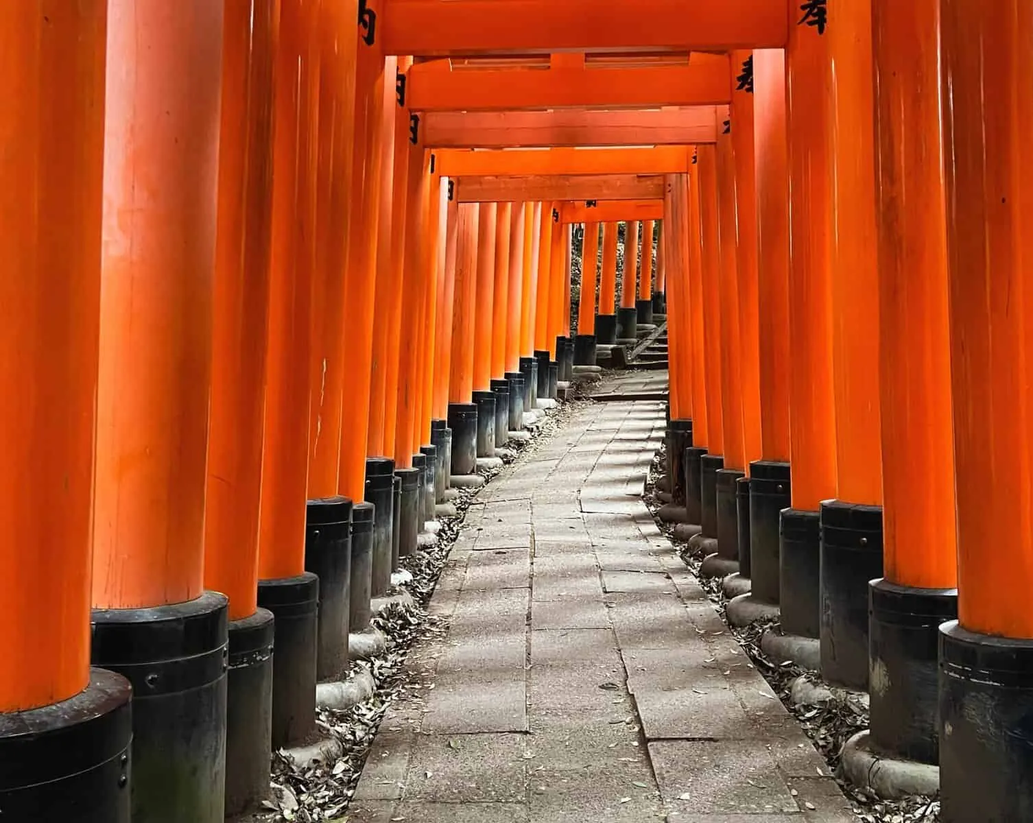 Fushimi Inari torii gates at dawn