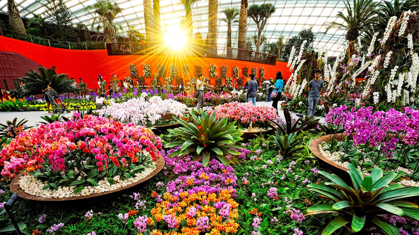 Flower Dome, Gardens by the Bay