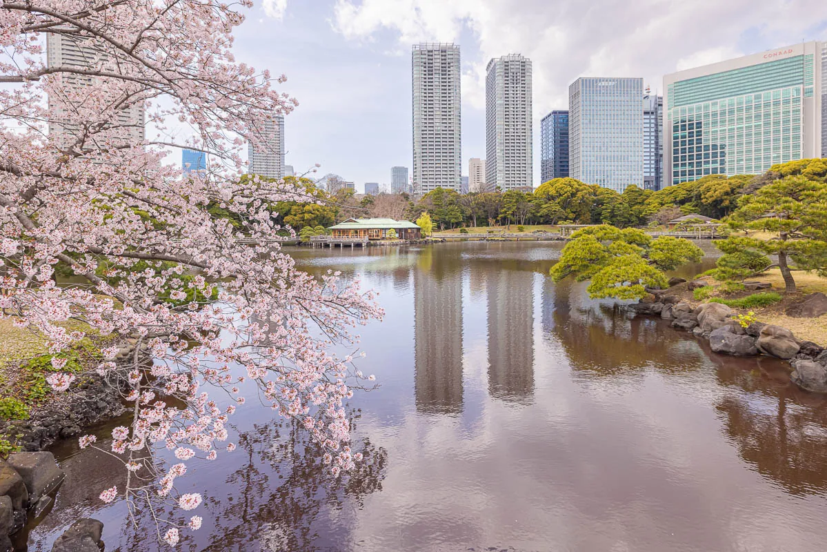 Hamarikyu Garden tidal pond Tokyo skyline