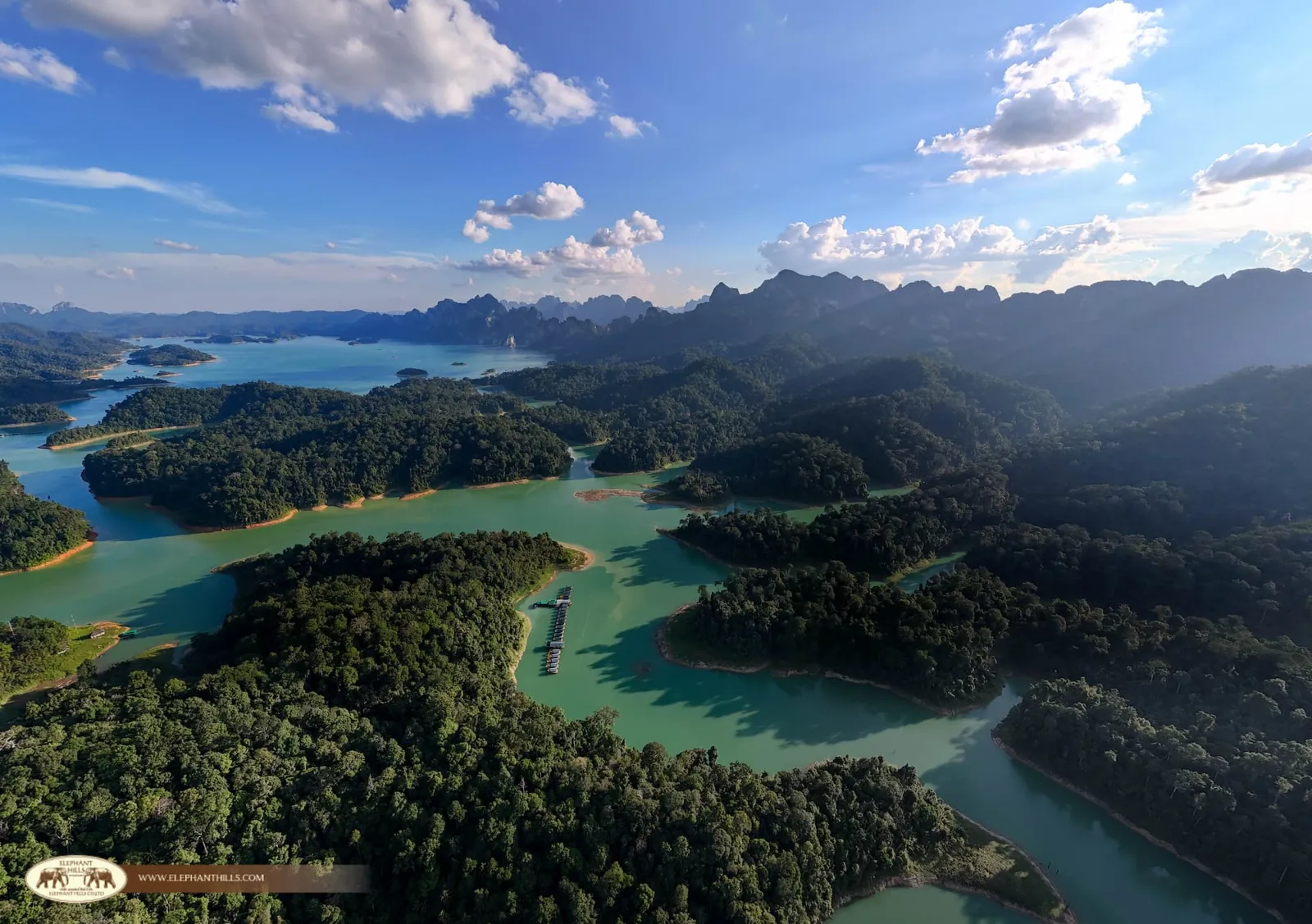 Jungle canopy, Khao Sok National Park
