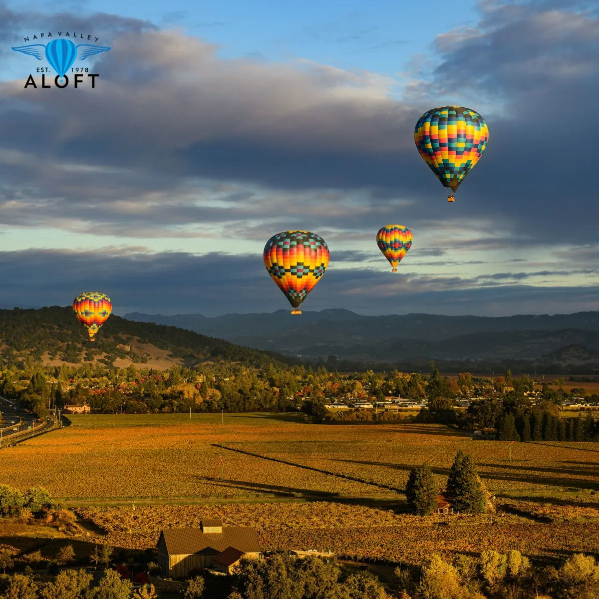Hot-air balloon floating over Napa Valley vineyards at dawn