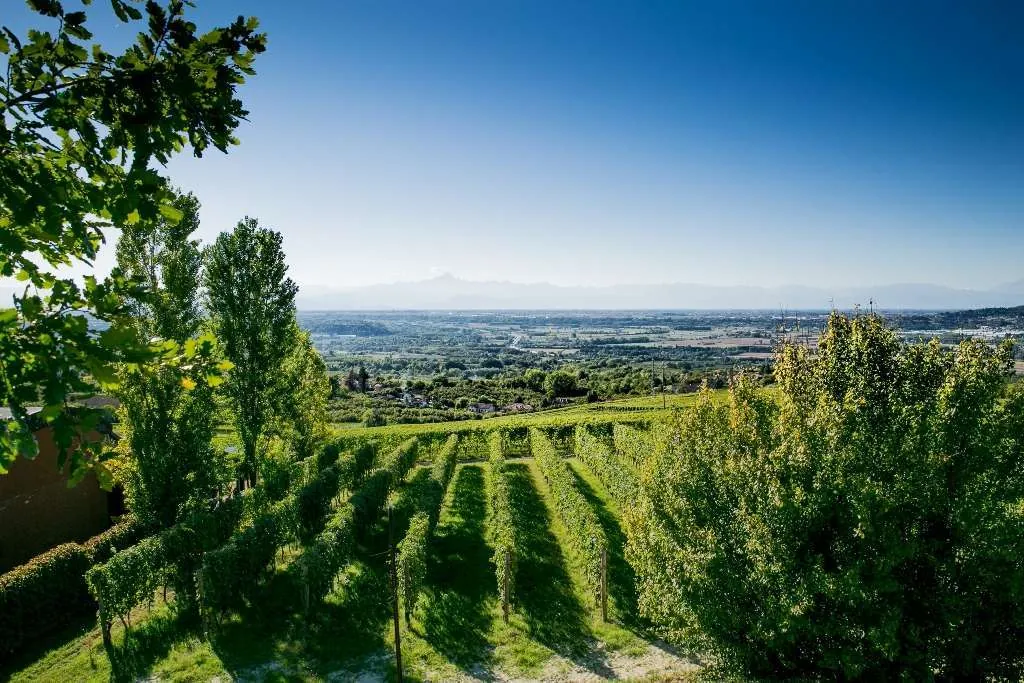 Barolo vineyards panorama, Langhe