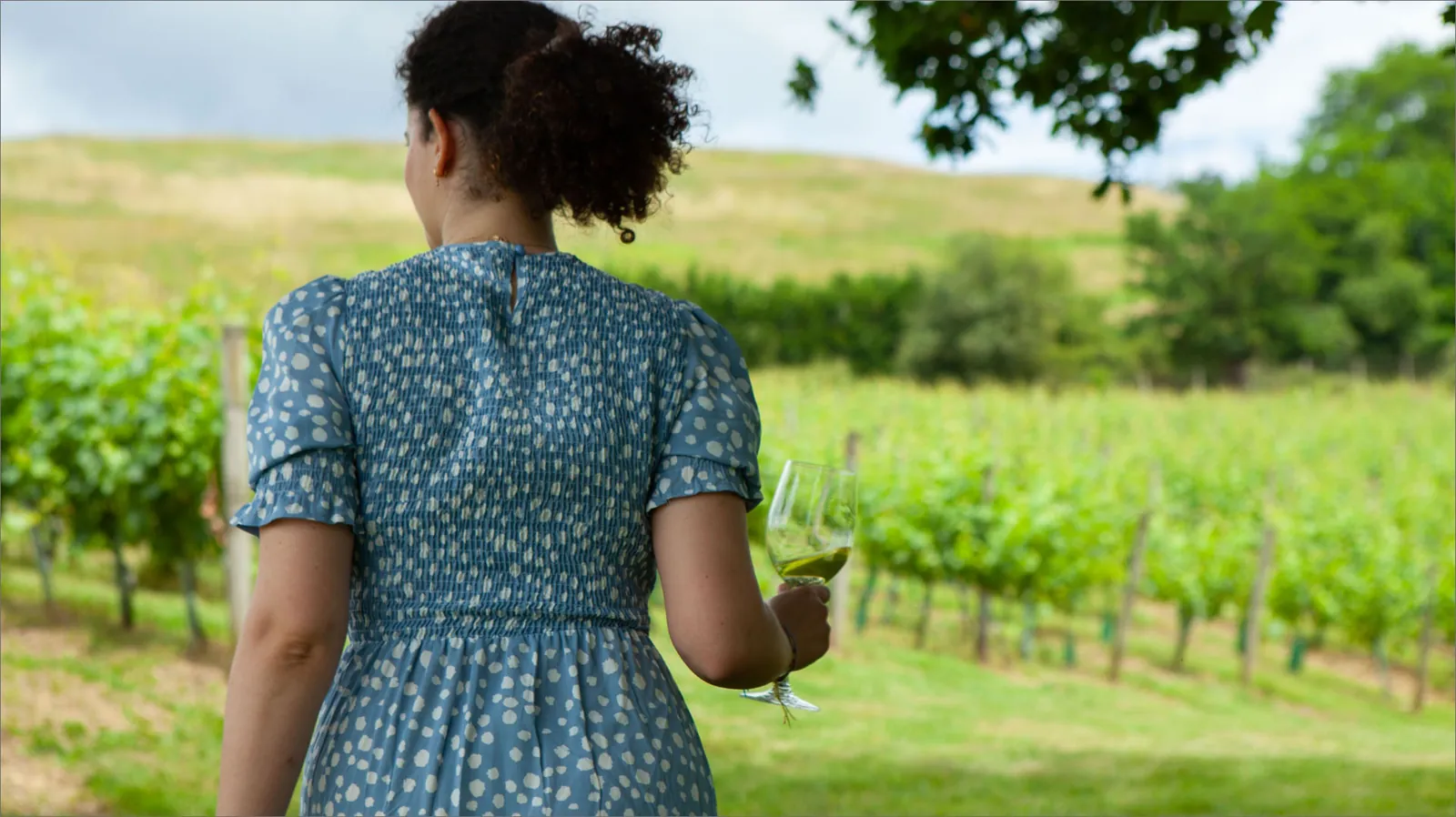 Hamaiketako txakoli tasting at Gorka Izagirre — four wines with Idiazábal and gilda