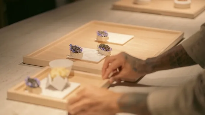 Somni canapés — avant-garde tasting menu
