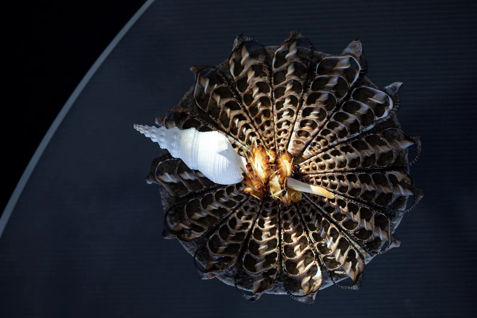 Vespertine — Jordan Kahn's avant-garde Culver City restaurant