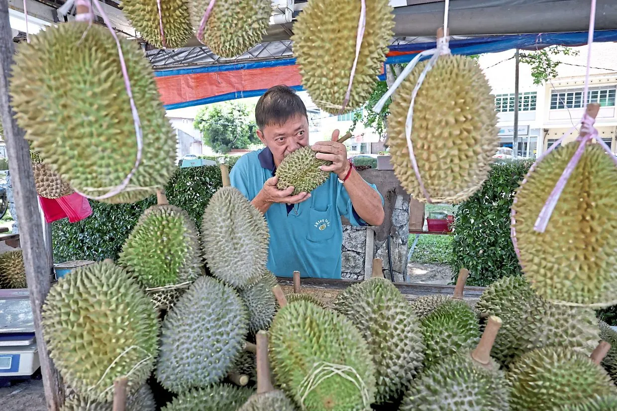 Penang durians