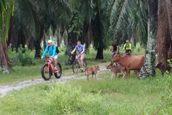 Balik Pulau countryside cycling