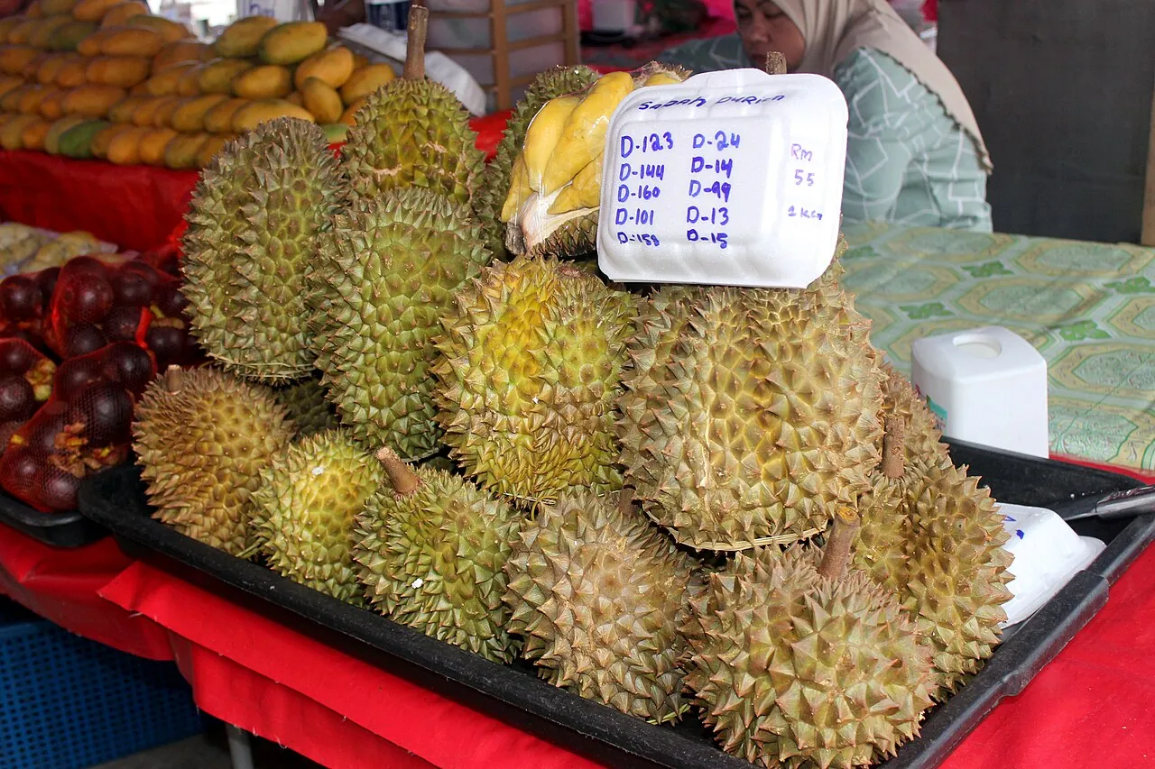 Durian fruit-farm tasting, Balik Pulau