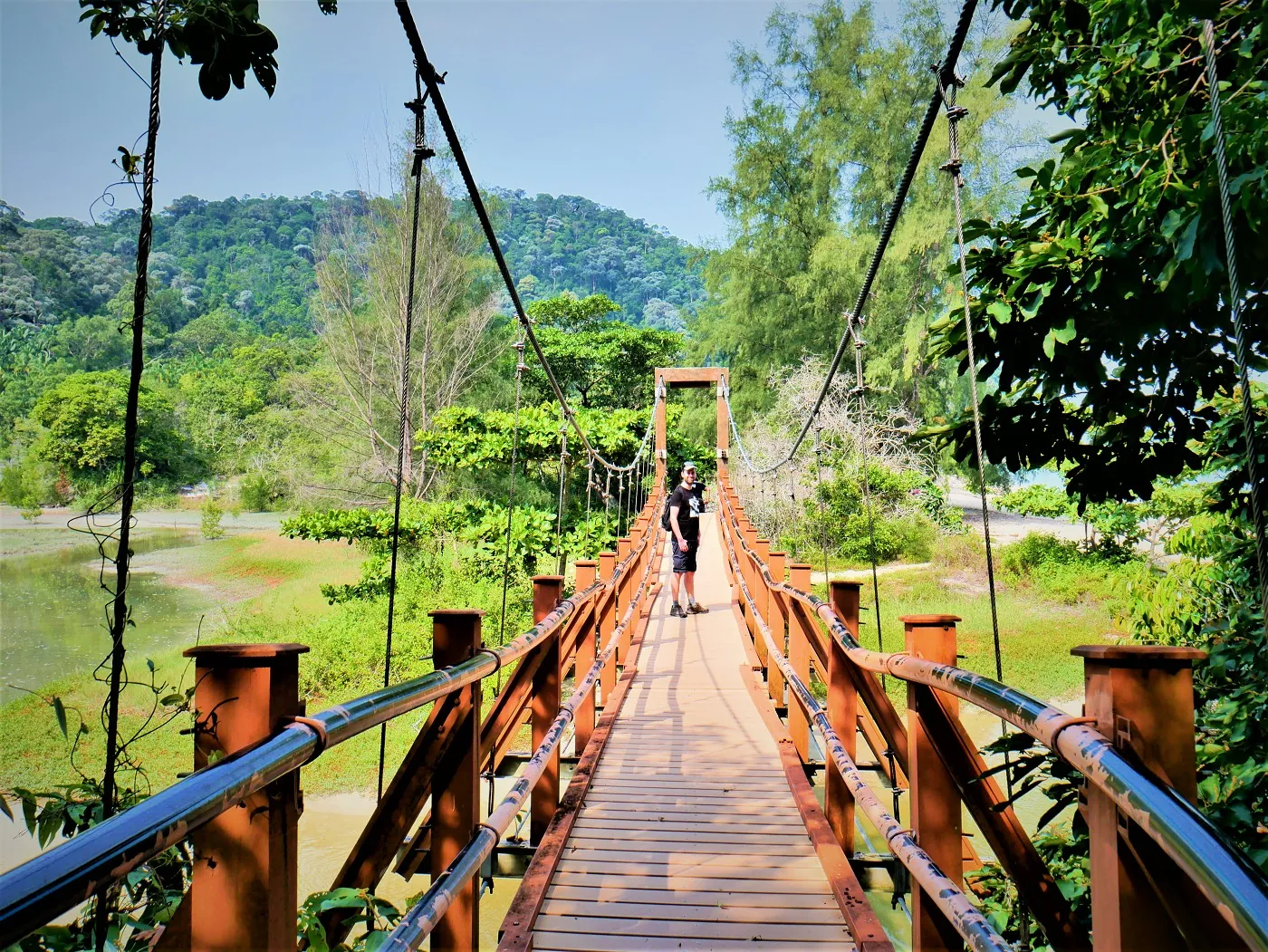 Turtle Beach and meromictic lake, Penang National Park