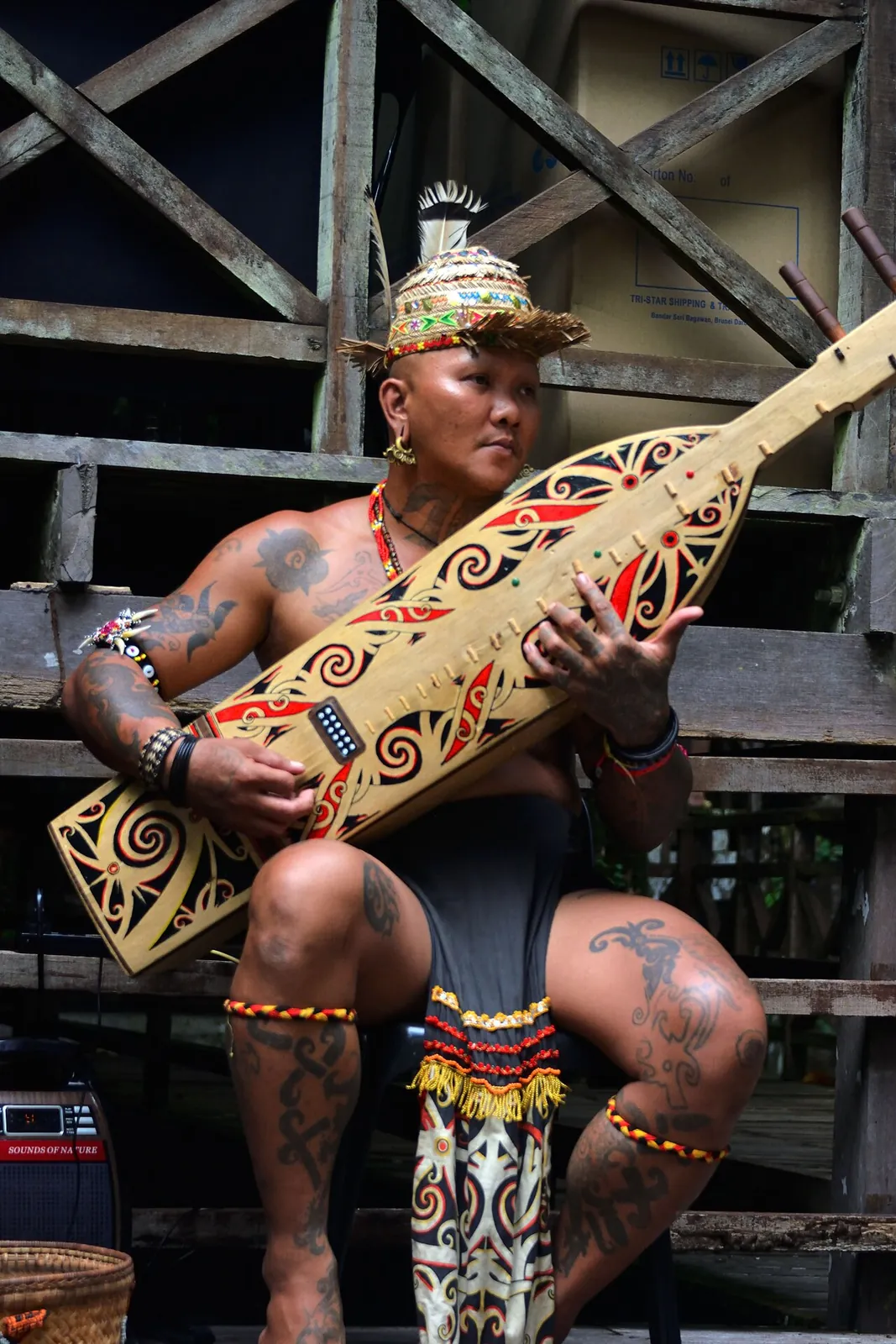 An Orang Ulu musician playing the sape boat-lute
