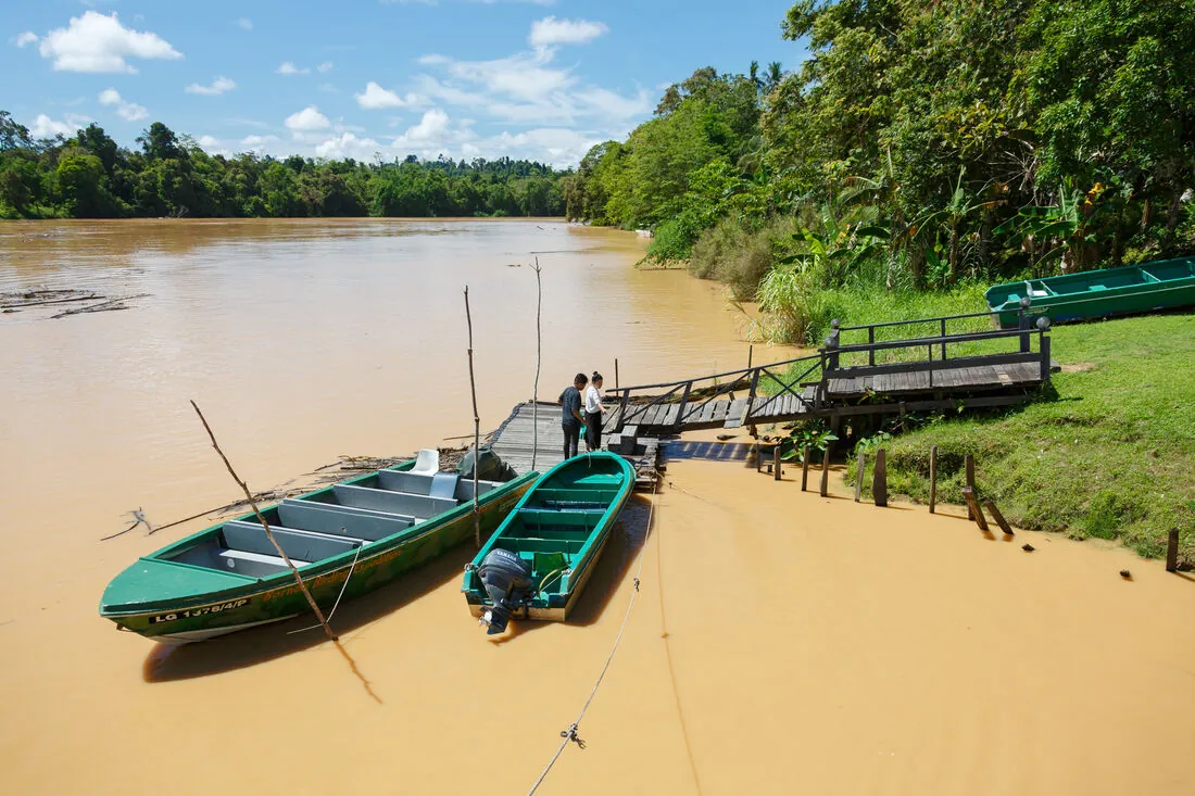 The Kinabatangan River at Sukau, Sabah