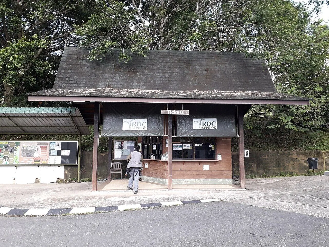 Rainforest Discovery Centre, Sepilok