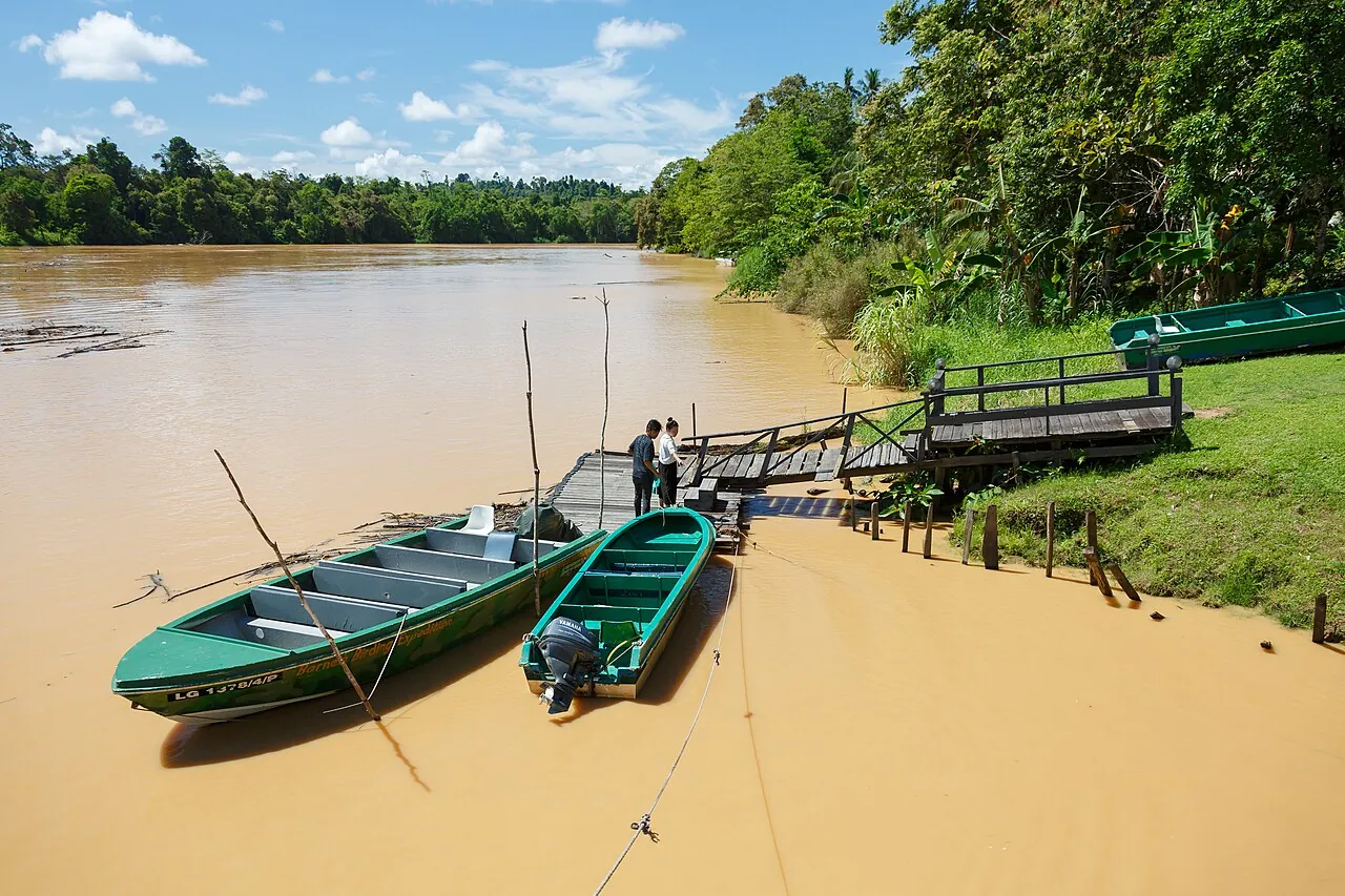 Kinabatangan river at Sukau