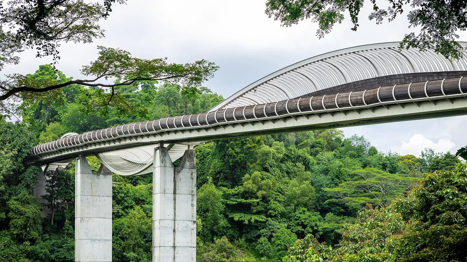 Henderson Waves bridge on the Southern Ridges